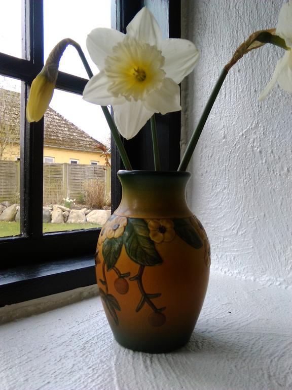 Dastrup Bed & Breakfast Viby Exteriér fotografie